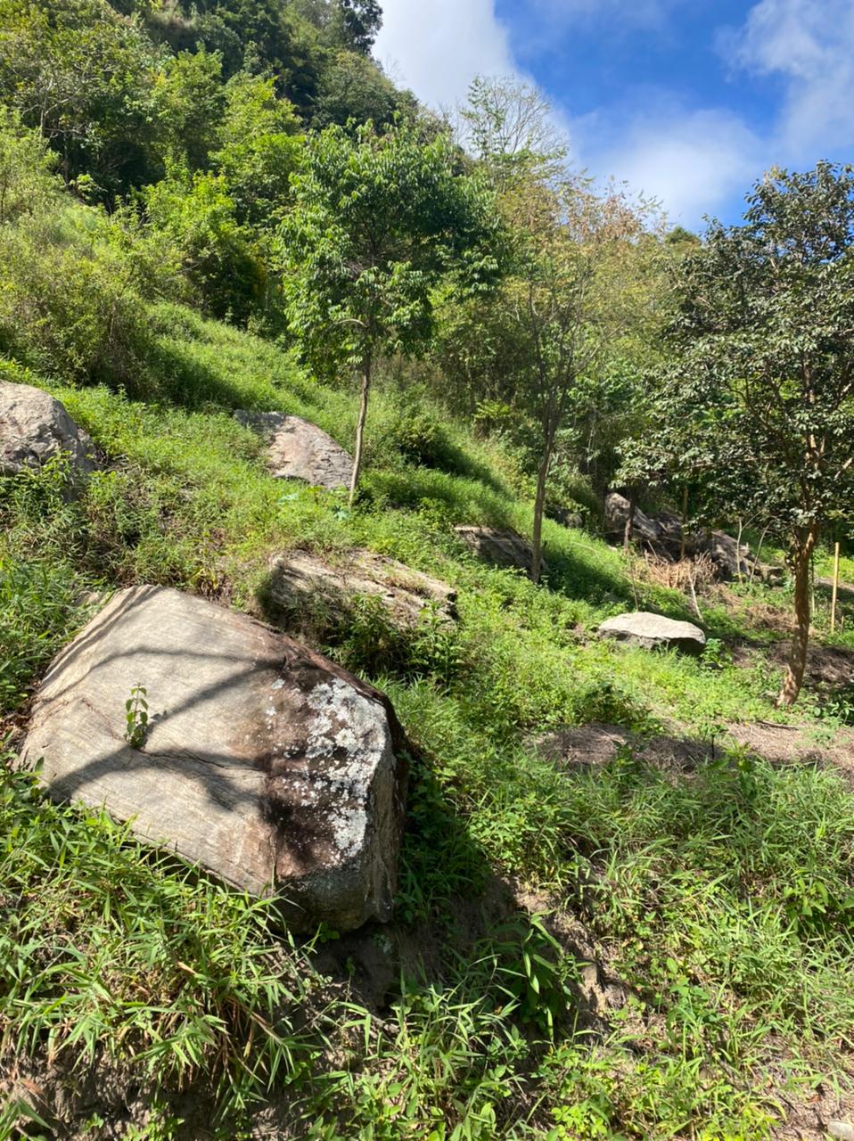 PEDRO DO RIO - Terreno Residencial - tvpr001