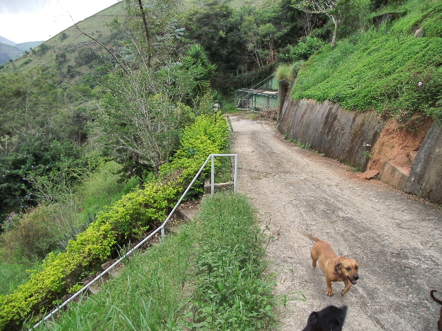 BONSUCESSO E V. DE BONSUC. - Terreno Residencial - TVB001